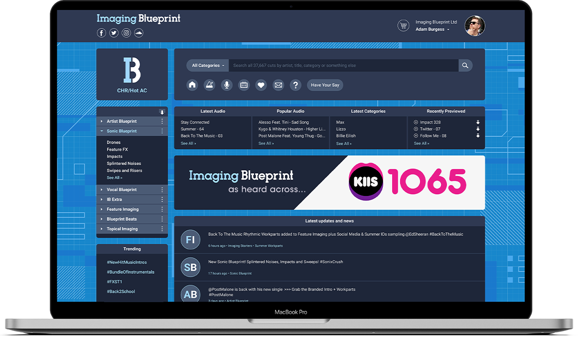 Screenshot of Imaging Blueprint audio database